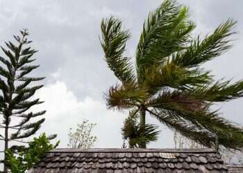 מה הערך הראשון בקוד האתי של צה"ל?