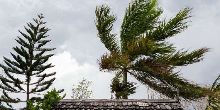 מה הערך הראשון בקוד האתי של צה"ל?