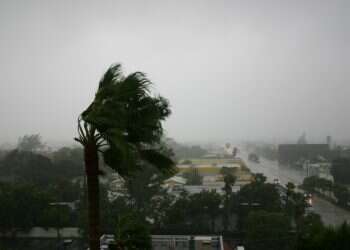 צילום: שאטרסטוק מה הערך הראשון בקוד האתי של צה"ל?