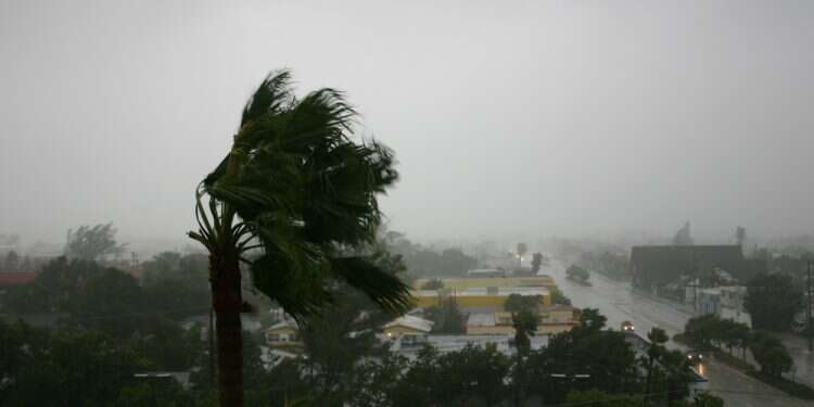 צילום: שאטרסטוק מה הערך הראשון בקוד האתי של צה"ל?