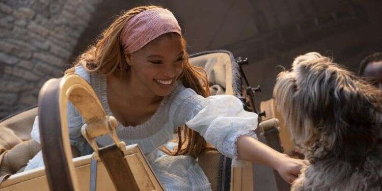 צילום: באדיבות פורום פילם