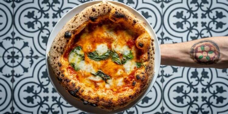 צילום: דוד מויאל