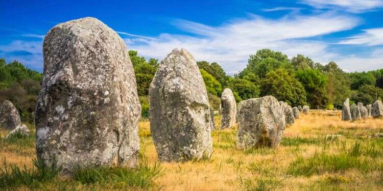 האתר הארכיאולוגי בצרפת. צילום: שאטרסטוק אתר היסטורי בן 7,000 שנה הושמד כדי לפנות מקום לחנות כלי עבודה