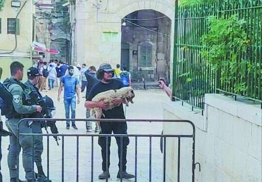 הטלה בשער השבטים, השבוע. צילום: רשתות ערביות "יכול להבעיר לא רק את המדינה אלא גם את העולם"