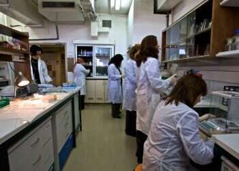 "דמיון מדהים לעובר טבעי": פריצות דרך בגידול מודלים של עוברים אנושיים במעבדה