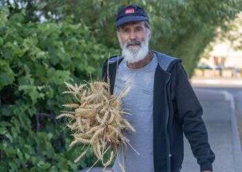 "העניין היה ציונות ושמירה על גבולות, היום זה לא כל כך מעניין את הממשלות"