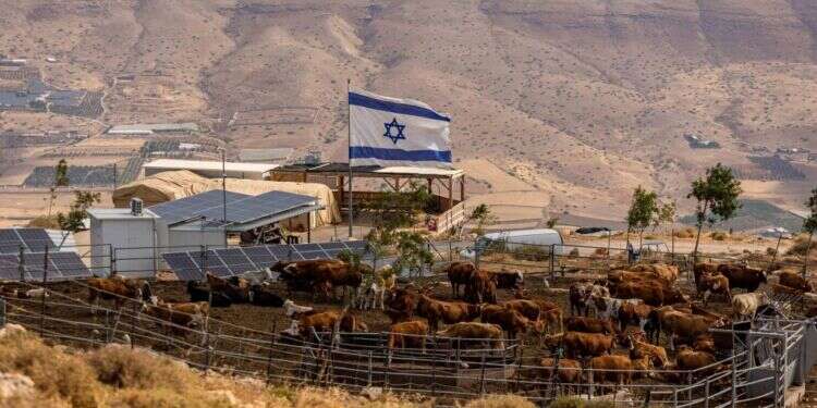 הגיבורות של ההר: מסע בעקבות הנשים בחוות הבודדים ביו"ש