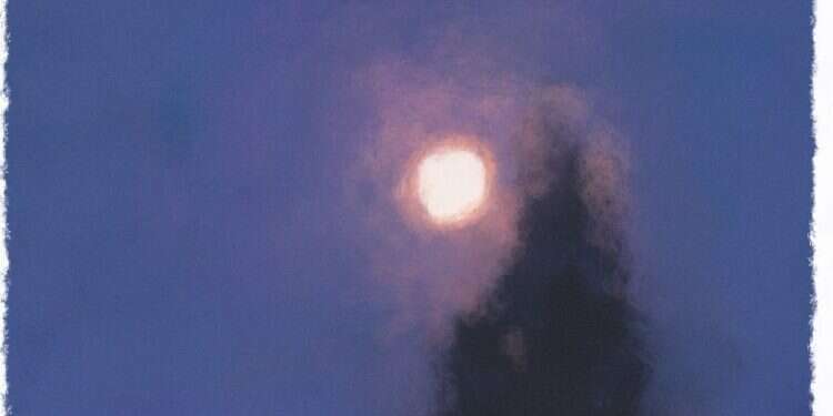 איור: מנחם הלברשטט