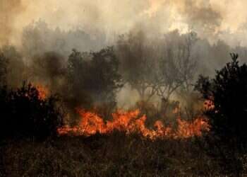 השריפות ביוון משתוללות כבר שבועיים, והסוף לא נראה באופק