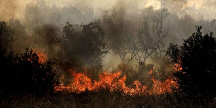 השריפות ביוון משתוללות כבר שבועיים, והסוף לא נראה באופק