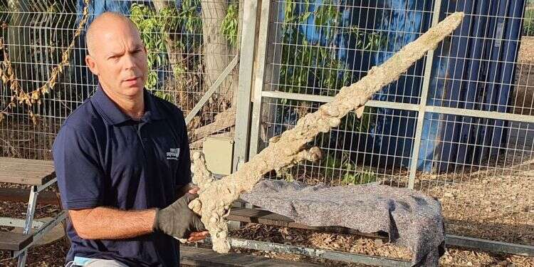 צילומי הרנטגן חשפו: החרב שהתגלתה בחופי חיפה, נפלה במהלך קרב ימי לפני כ-800 שנה