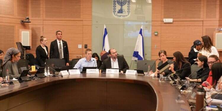 מצביעים על ההסתייגויות בוועדת חוקה. צילום:  דני שם טוב, דוברות הכנסת הריכוך היחיד לעילת הסבירות שהתקבל: לא יחול על ממשלת מעבר