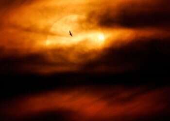 עומס חום כבד מתקרב: תחזית מזג האוויר