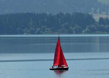 אבודים: אדם וכלבתו חולצו לאחר שנסחפו בים במשך חודשיים