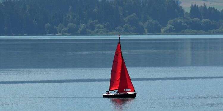אבודים: אדם וכלבתו חולצו לאחר שנסחפו בים במשך חודשיים