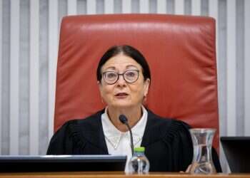 מגעגע כמו סבירות: חיות לא אוהבת את החוק, ולכן מבטלת אותו