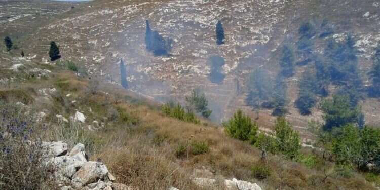 ההצתה ליד חומש. צילום: ישיבת חומש צפון השומרון: פלסטינים תקפו את תלמידי ישיבת חומש וחיילים שהגיעו ליישוב