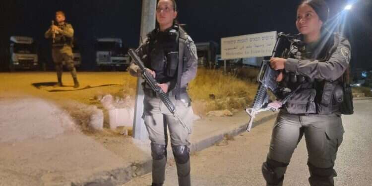 לוחמות מג בזמן המבצע בג'נין: הפרות סדר והתפרעויות במזרח ירושלים וחיפה