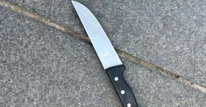 ניסיון פיגוע דקירה סמוך לגבעת התחמושת: אין נפגעים, המחבלת נוטרלה