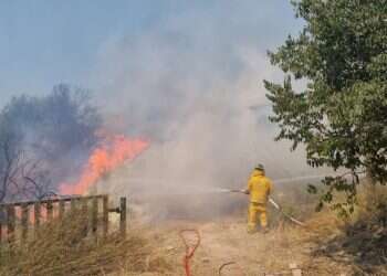 השריפה בהרי ירושלים: "קיפצובה" נסגרה ותושבים בקיבוץ פונו