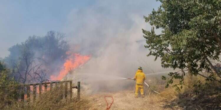 השריפה בהרי ירושלים: "קיפצובה" נסגרה ותושבים בקיבוץ פונו