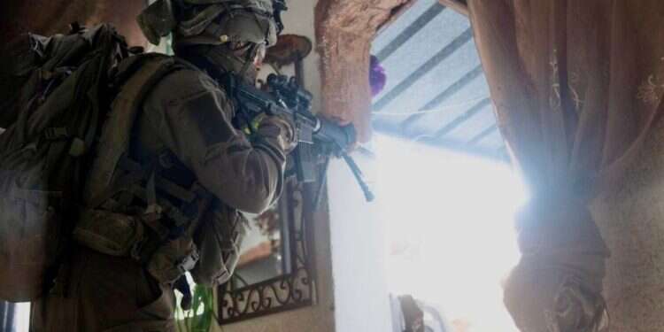 פעילות כוחות צה