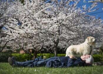 מחקר: מגורים ליד צמחייה מאריכים את תוחלת החיים בשנתיים