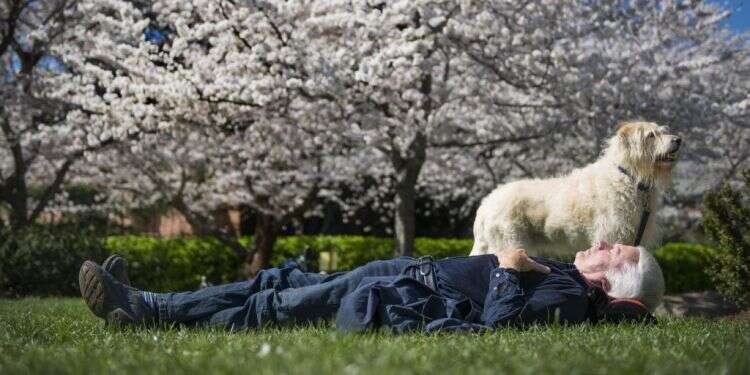 צילום: לינדה דודסון, וושינגטון פוסט מחקר: מגורים ליד צמחייה מאריכים את תוחלת החיים בשנתיים