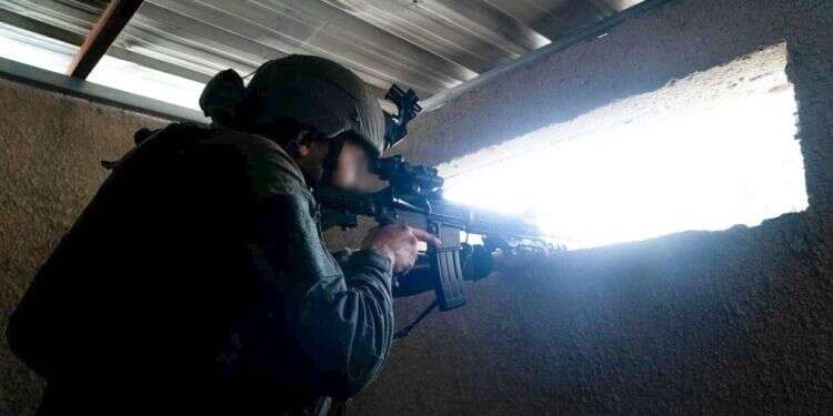 צילום: דובר צה