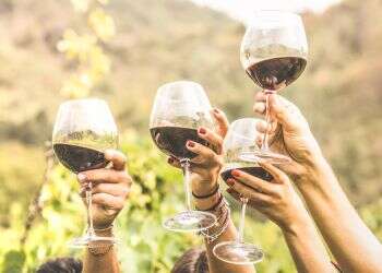 המומחים עונים: האם יש "כמות בטוחה" של צריכת אלכוהול