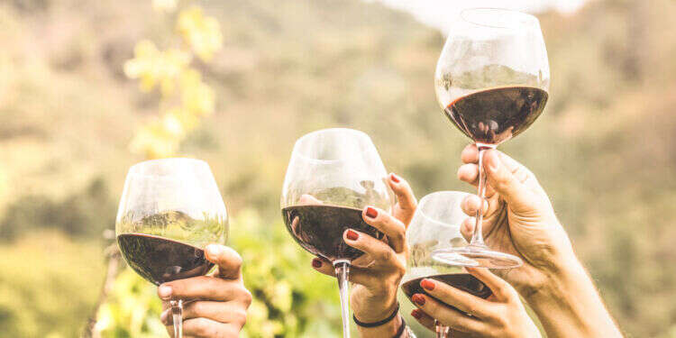 צילום: שאטרסטוק המומחים עונים: האם יש "כמות בטוחה" של צריכת אלכוהול