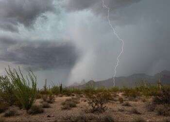 שואב אבק אדום שמוריד גשם במדבר הוא כלי ליצירתו של סיפור פנטזיה מקומי נהדר