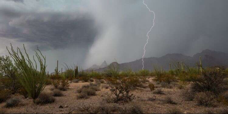 צילום: שאסטרסטוק שואב אבק אדום שמוריד גשם במדבר הוא כלי ליצירתו של סיפור פנטזיה מקומי נהדר