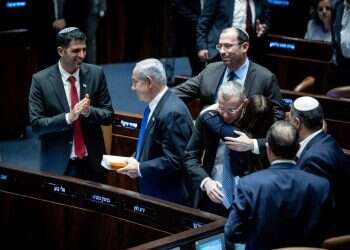 "הדמוקרטיה ניצחה": עילת הסבירות עברה בקריאה ראשונה