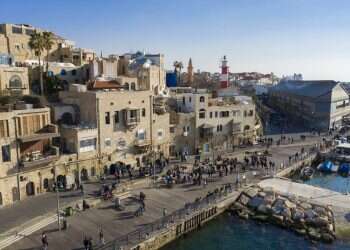 לונה פארק ממוזג ומיצג דינוזאורים: פעילויות לילדים לחופש הגדול