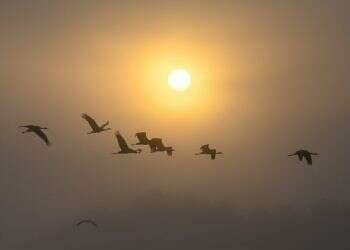 מעונן חלקית עד בהיר – הכבדה בעומסי החום בסוף השבוע | תחזית מזג האוויר