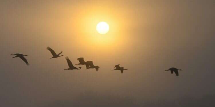 קיץ וחם. צילום: מיכאל גילעדי פלאש 90 מעונן חלקית עד בהיר – הכבדה בעומסי החום בסוף השבוע | תחזית מזג האוויר