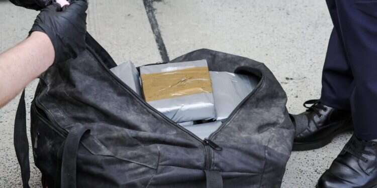 קוקאין שנתפס על ידי המשטרה, ארכיון. צילום: EPA/OLIVIER MATTHYS שלל נאה: ראש העיר יצאה לדוג, והעלתה בחכתה קוקאין בשווי 1.1 מיליון דולר