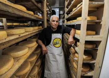 מיתה בידי פרמזן: גבר איטלקי נמחץ למוות במפולת גלגלי גבינה