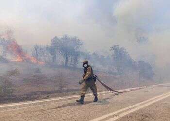 פי 6 מתל אביב: השריפות ביוון הן הגדולות שנמדדו באירופה אי פעם