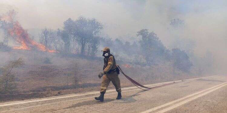 לוחם אש נלחם בשריפות המשתוללות ביוון. צילום: Achilleas Chiras, AP פי 6 מתל אביב: השריפות ביוון הן הגדולות שנמדדו באירופה אי פעם