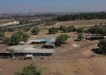 קק"ל הקימה מקלט לבעלי חיים מפני פשיעה חקלאית ופרוטקשן