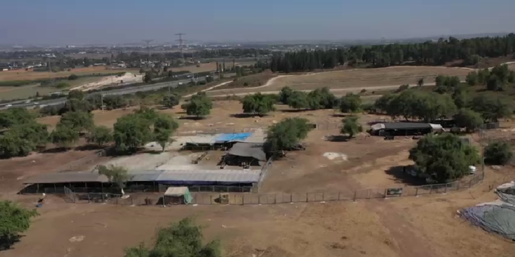 קק"ל הקימה מקלט לבעלי חיים מפני פשיעה חקלאית ופרוטקשן