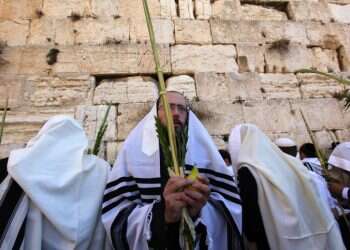 ארבע מינים. צילום: קובי גדעון / פלאש 90 מתי סוכות? זמני כניסת ויציאת החג תשפ"ד 2023