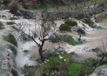גוש עציון: טרקטור פלסטיני הרס אתר היסטורי מימי בית שני