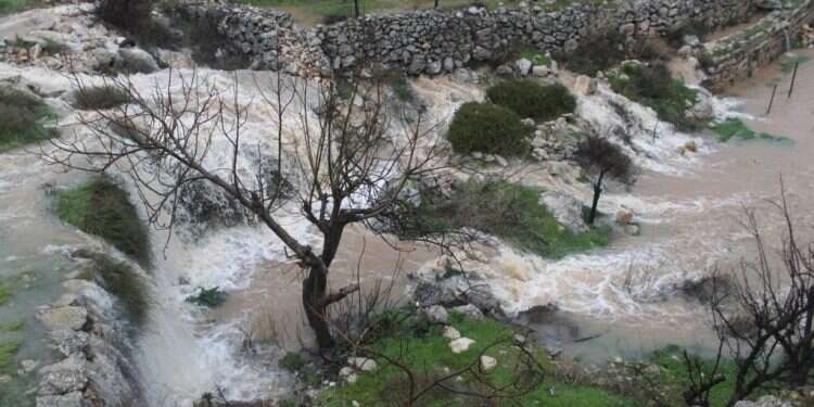 בריכות שלמה. צילום: גרשון אלינסון, פלאש 90 גוש עציון: טרקטור פלסטיני הרס אתר היסטורי מימי בית שני