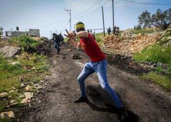 תקיפה באלות ויידוי אבנים: פלסטינים פצעו רועי צאן יהודים בבנימין