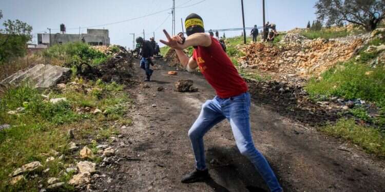 תקיפה באלות ויידוי אבנים: פלסטינים פצעו רועי צאן יהודים בבנימין