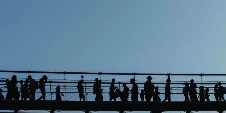 הגשר התלוי שנחנך לאחרונה במורדות הר ציון בירושלים. צילום: חיים גולדברג, פלאש 90