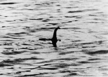 לשתות כוס ויסקי ולהצטרף לציד השטותי אחר יצור הפלא המפורסם בעולם